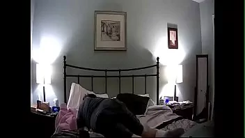 POV perrito