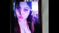 Adela morelia