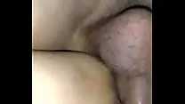 Gorditqs ecuatorianas