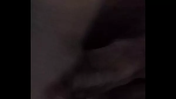 Raulito El Gatito