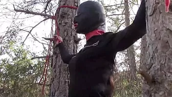 Atada bosque